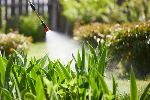 24/7 Emergency Mosquito Control experts in Granville, WV